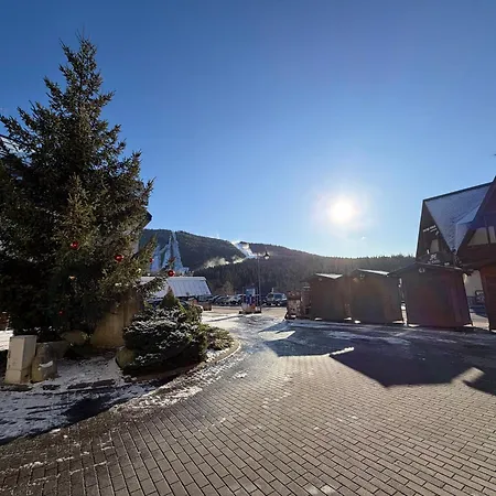 Mona & Harrachov