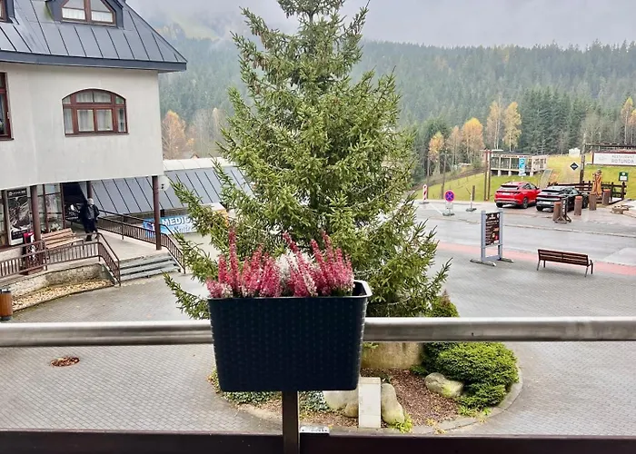 Mona & Harrachov